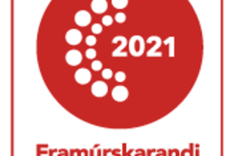 FF RGB FF 2021 Ice White Vert Minni